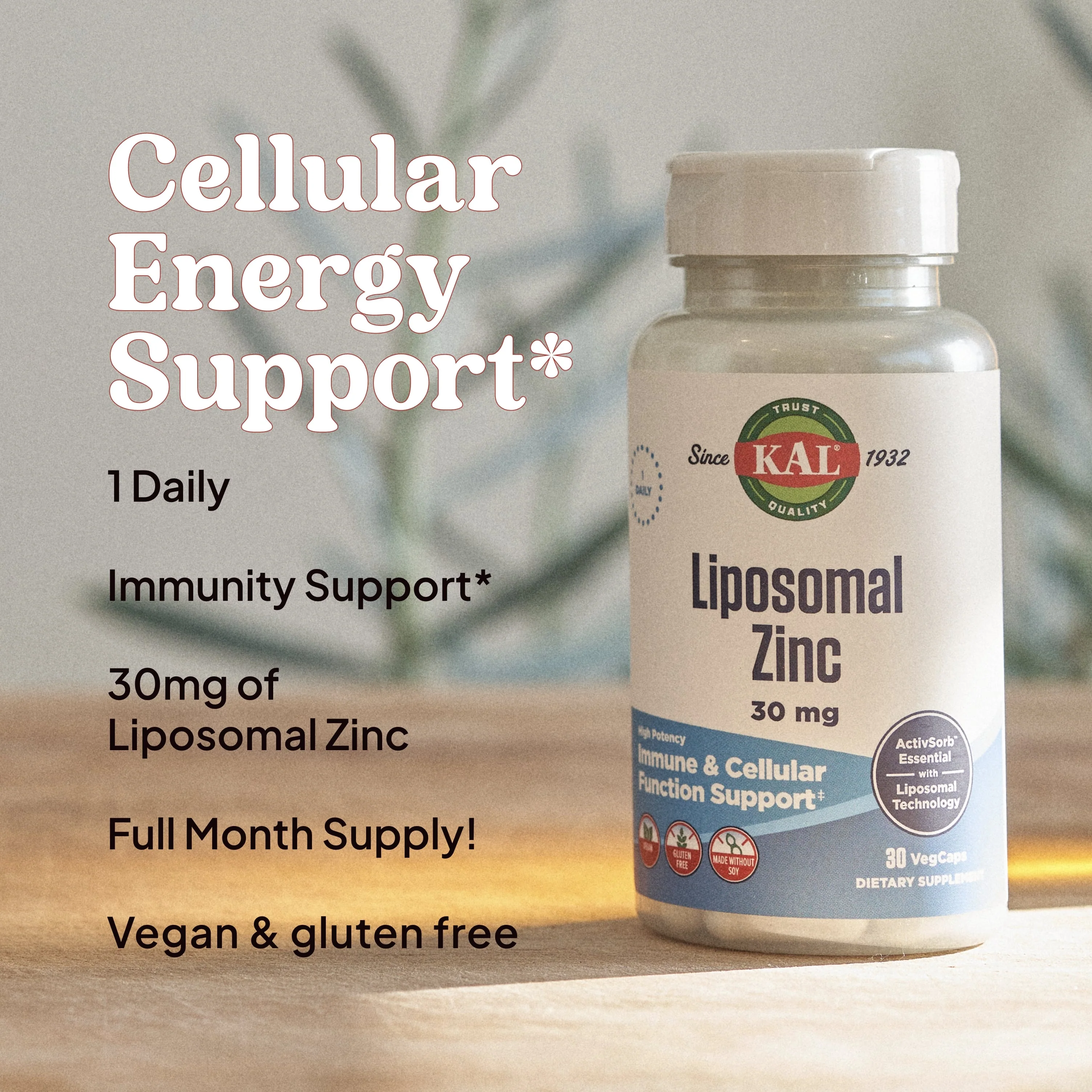 Liposomal Zinc - Image 4